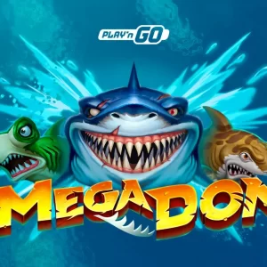 Mega Don Slot Review